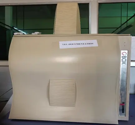 Gel Documentation Unit
